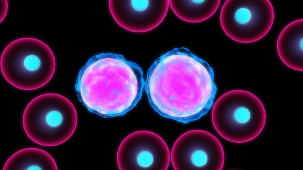 Células infectadas con leucemia