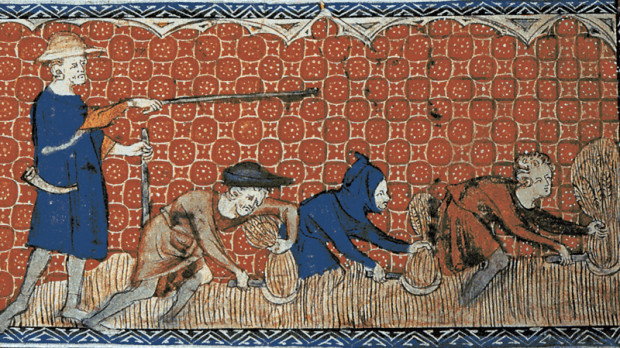 Miniatura medieval que representa a tres siervos cosechando trigo bajo la vigilancia del delegado de su señor