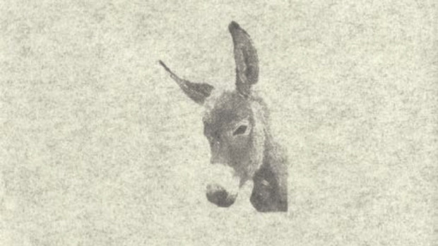 Detalle de la portada de una de las ediciones de  'Platero y yo'