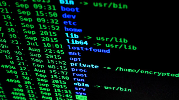 Internet es una red descentralizada que hace muy difícil un apagón total