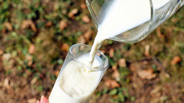La leche y los productos lácteos se recomiendan en adultos mayores por sus posibles beneficios relacionados con la salud ósea y el control de la presión arterial