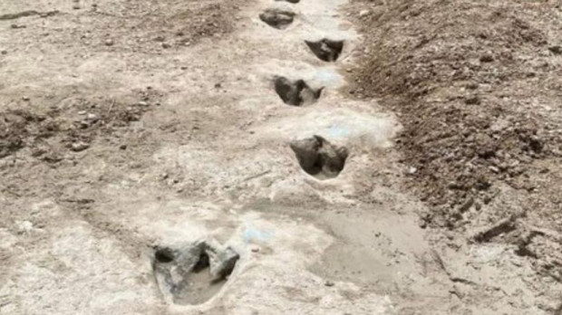 Las huellas descubiertas junto al río Paluxy