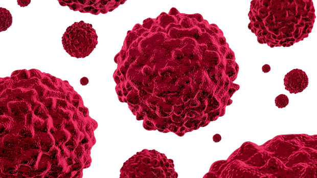 .medicinally,medical,human,human being,virus,cancer,growth,means,agent,medicine,drug,remedy,substance,medicin,treatment,diagnosis,diagnostic,biology,prognosis,cells,disease,immune system,microscopic,prevention,pathology,illness,sickness,skin cancer,white,division,cancer cells on white background,killer cells,human cancer,cancer cells,molecules,cancerous,cell damage,dna,spreading,tumor,cancer spread,carcinogen,abnormal cells,malignant neoplasm,malignant,unregulated cell growth,malignant cells,prostate cancer,lung cancer,cancer treatment,cancer symptoms,white background