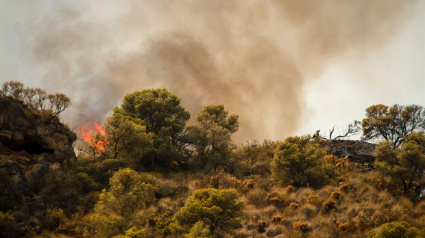 Medios aéreos y terrestres del Infoca trabajan en la extinción de un incendio forestal declarado este jueves en un paraje de Los Guájares