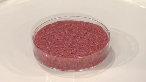 Primera hamburguesa realizada, en 2013, con carne cultivada en un laboratorio