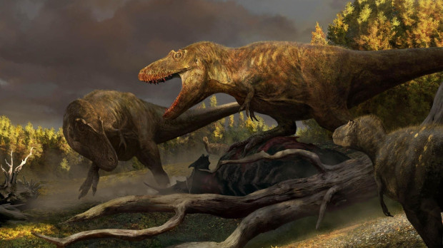 Esta pintura de los cuatro especímenes de tiranosaurio descubiertos por el Museo de Dinosaurios de Badlands por el paleoartista Rudolf Hima
