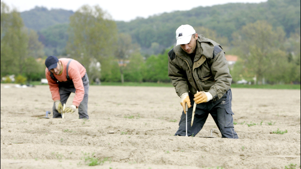 Imagen de archivo de unos agricultores