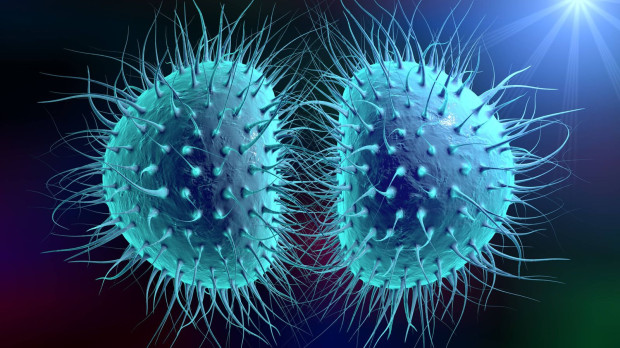 Gonorrea