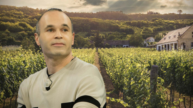 iniesta vinos
