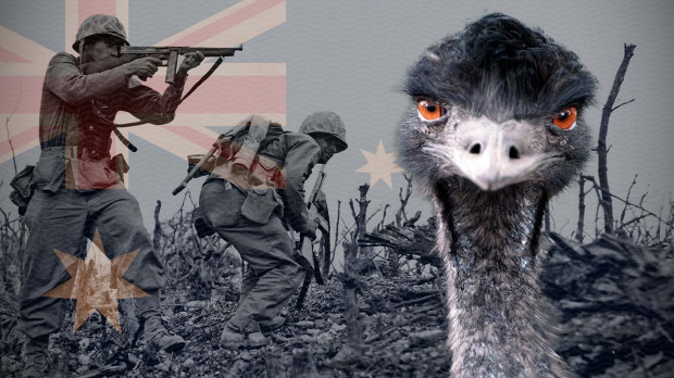 La guerra del emú