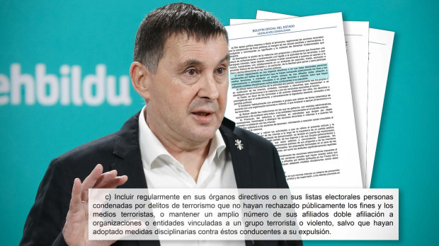 El coordinador de Bildu, Arnaldo Otegi