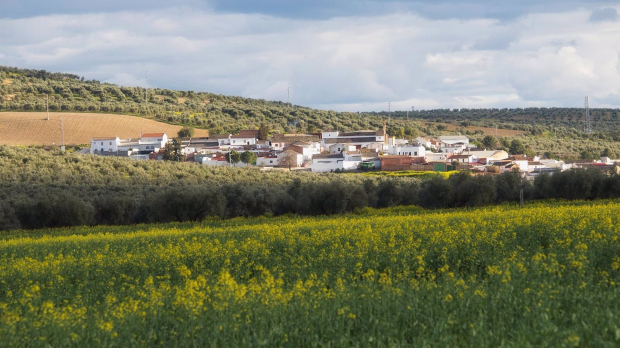 La aldea bujalanceña de Morente, rodeada de olivos y otras tierras de cultivo, donde se instalará parte de la planta solar proyectada
