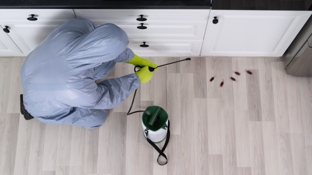 Un exterminador en una vivienda
