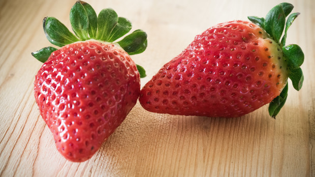 fresas