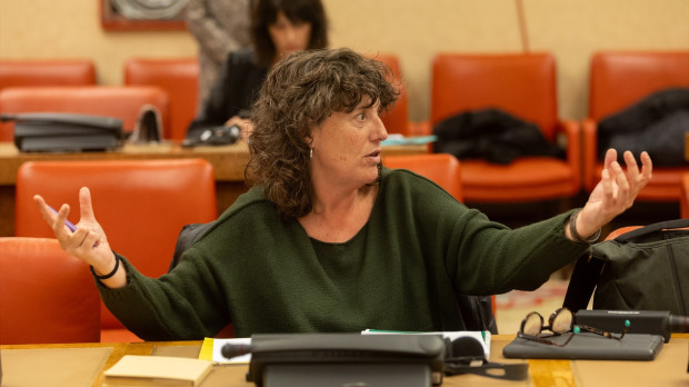 La portavoz adjunta de ERC, Teresa Jordà, en el Congreso