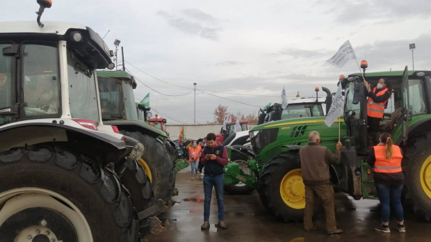 Algunos de los tractores que, junto a otros vehículos, han recorrido las calles de Córdoba