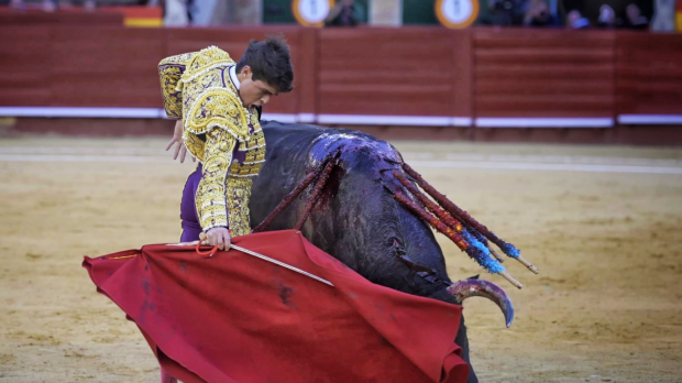 Jarocho, en un lance de esta tarde en Valencia