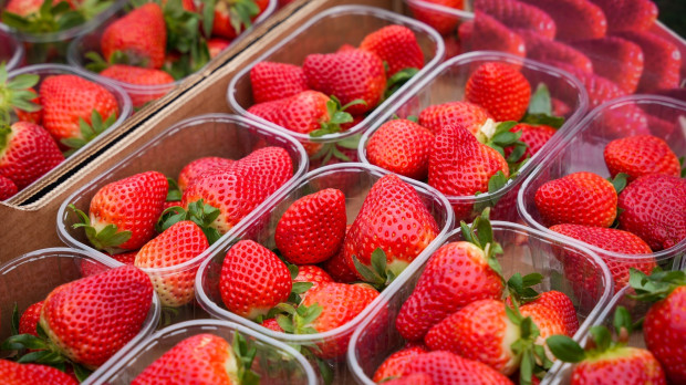 Fresas de Huelva