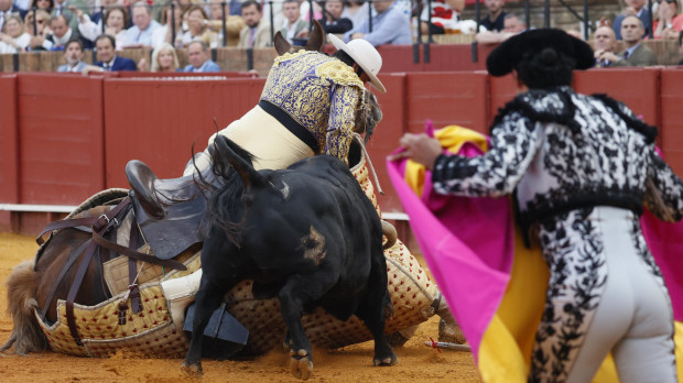 El toro de Jandilla estuvo a punto de tirar al picador, pero la ayuda de Manzanares evitó un mal mayor