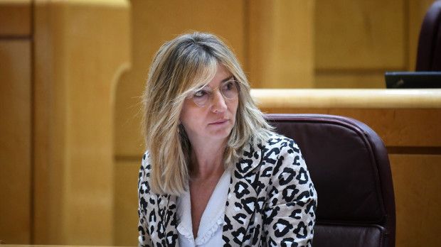 La portavoz del PP en el Senado, Alicia García
