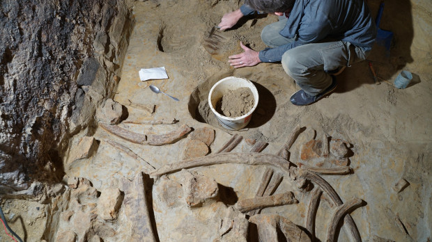 Expertos del Instituto Arqueológico Austriaco trabajan en la extracción y análisis de huesos de mamut de hasta 40.000 años de antigüedad encontrados en una bodega subterránea a unos 75 kilómetros de Viena