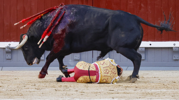 Juan ortega sufrió dos puntazos por parte del quinto toro de la tarde