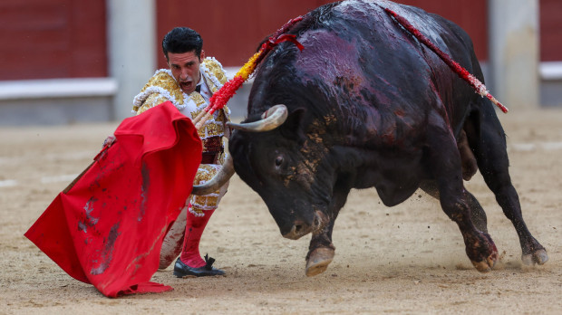 Talavante con el quinto de la tarde, al que cortó una oreja
