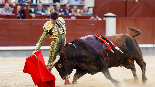 Daniel Luque este jueves en la Monumental de Las Ventas