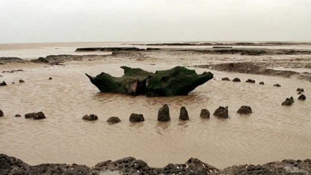 Seahenge en su ubicación inicial (Inglaterra), antes de su excavación en 1999