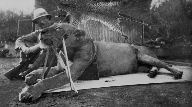 El teniente coronel Patterson junto al primero de los leones abatidos (1898)