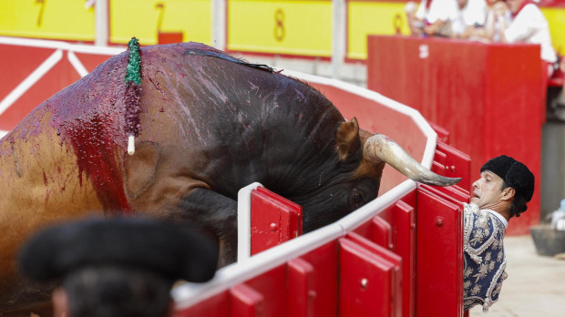 Imagen del toro metiendo la cabeza en el mismo burladero