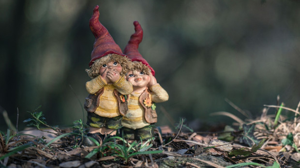 Gnomos de jardín