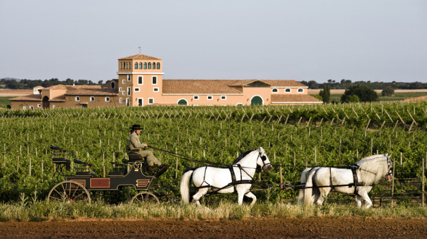Bodegas Los Aljibes