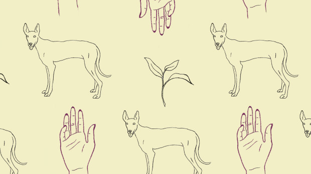 Dibujo para La mano que cura
