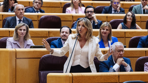 La portavoz del PP en el Senado, Alicia García