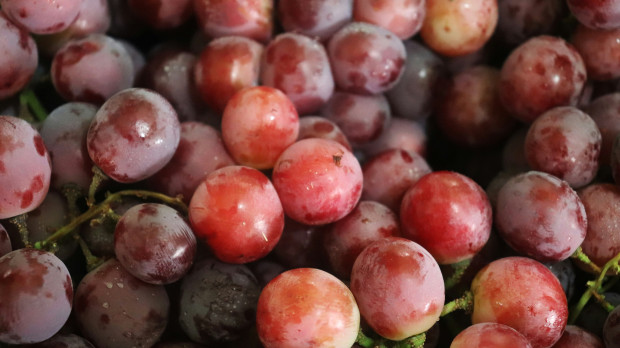 La uva roja es rica en antioxidantes