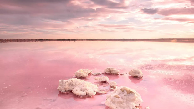 La Laguna Rosa de Torrevieja