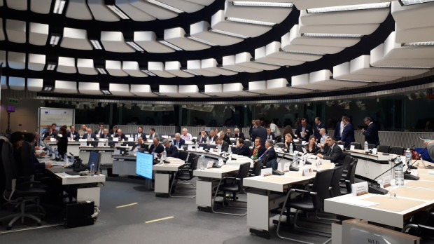 Comité Económico Social y Europeo
