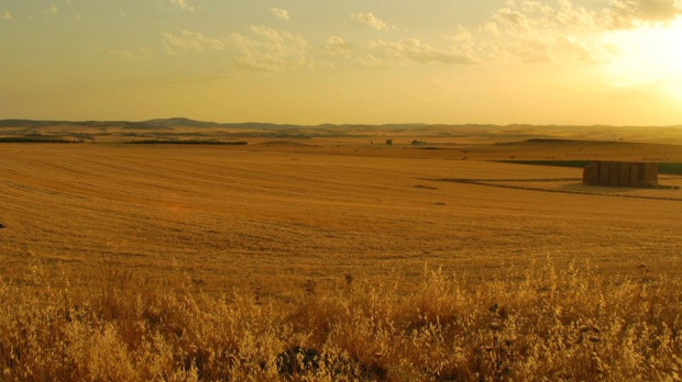 Paisaje manchego en Ciudad Real