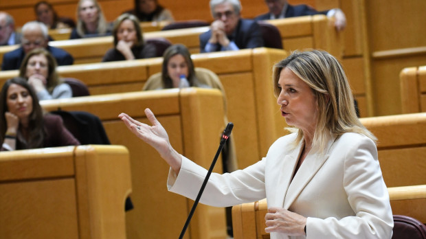 La portavoz del PP en el Senado, Alicia García