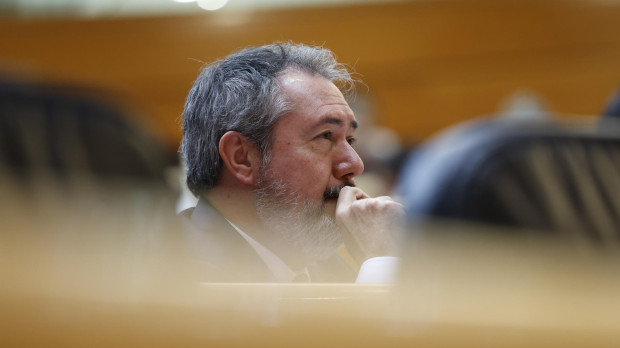 El portavoz del Grupo Socialista en el Senado, Juan Espadas