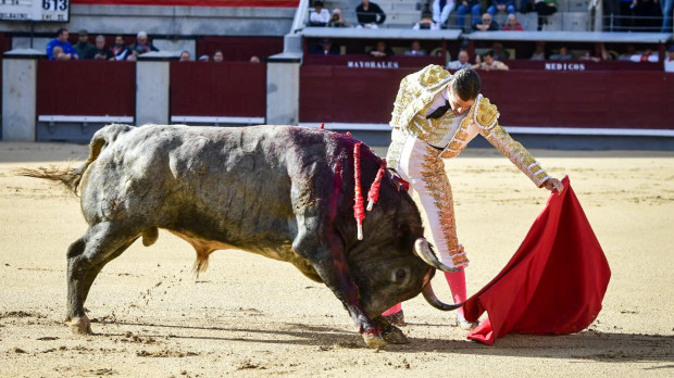 Alejandro Mora con el toro de su confirmación de Valdellán