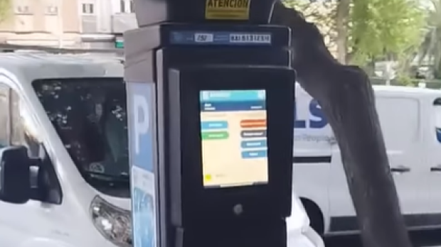 Los ayuntamientos recaudan gracias a los parquímetros