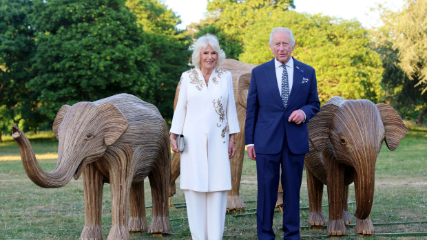 Los Reyes  Carlos y Camilla