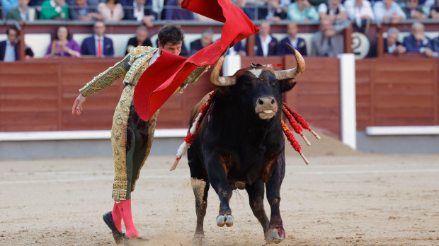 Daniel Luque, con el tercero de la tarde, toro con una preciosa capa