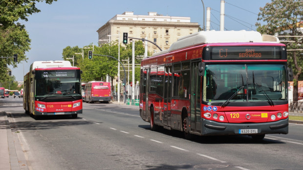 (Foto de ARCHIVO) Autobuses de Tussam circulan con fluidez en una avenida de Sevilla. A 29 de abril de 2025 en Sevilla, Andalucía (España). Tras el inesperado apagón que dejó sin suministro eléctrico a el país en la jornada de ayer, Sevilla ha recuperado la normalidad durante la mañana de hoy. Las autoridades han confirmado que los servicios esenciales funcionan con total regularidad. Rocío Ruz / Europa Press 29/4/2025