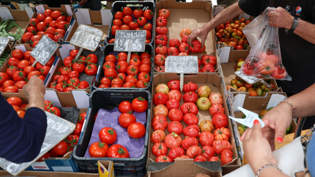 Cajas de tomates en un mercado de la Comunidad de Madrid