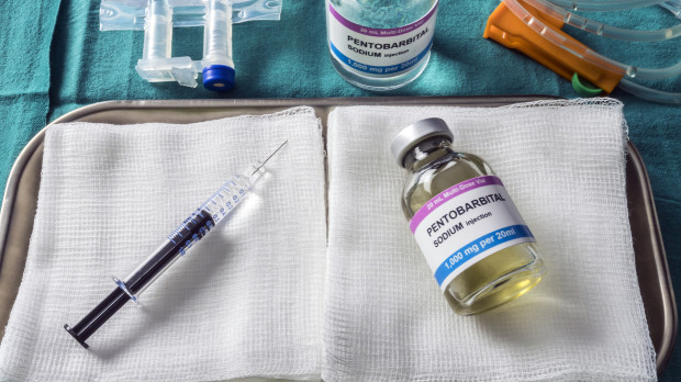 Vial con pentobarbital utilizado para la eutanasia e inyección letal en un hospital