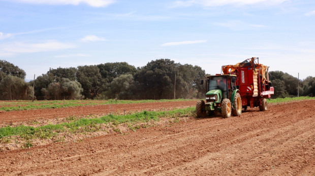 Trabajos con un tractor en el campo