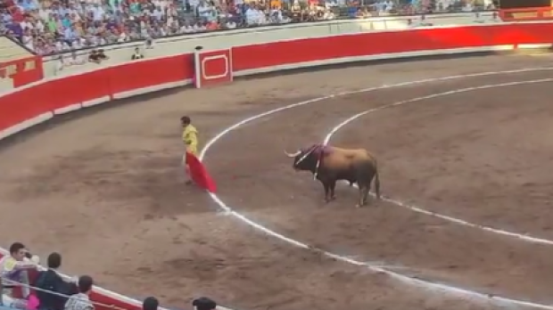 Morante de la Puebla en el momento en que parte la faena en Bilbao